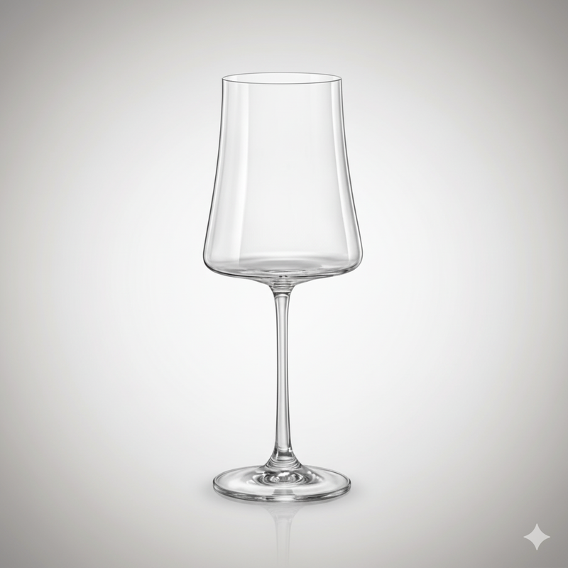 Lot de 6 Verres Xtra 460 ml – Cristal de Bohême Polyvalent