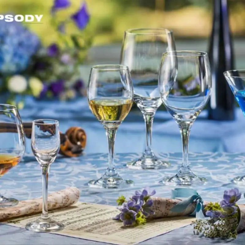 Verres à pied Rhapsody collection 415 ml x6 - Cristal de Bohême
