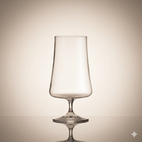Lot de 6 Verres à Bière & Cocktail Xtra 380 ml – Cristal de Bohême