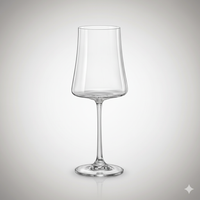Lot de 6 Verres Xtra 460 ml – Cristal de Bohême Polyvalent