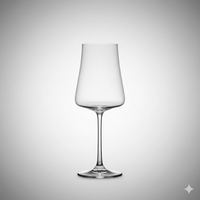 Lot de 6 Verres Xtra 360 ml – Cristal de Bohême Polyvalent