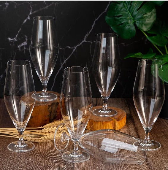 Lot de 6 Verres à Pied Gavia 380 ml – Cristal de Bohême